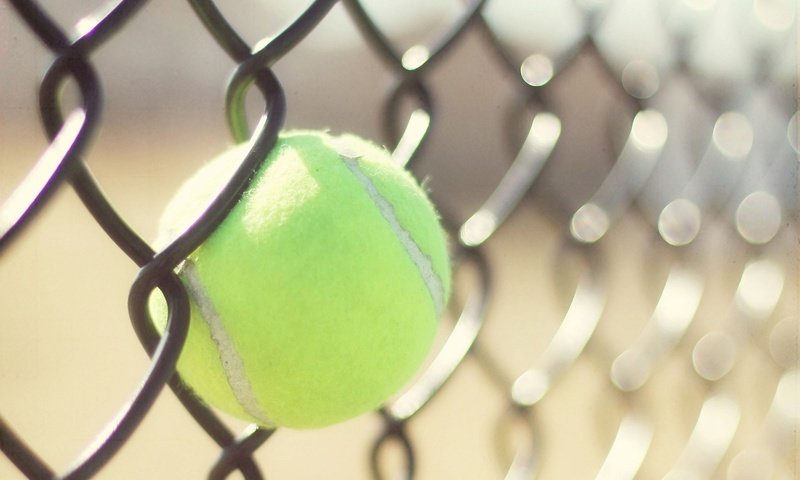 Обои забор, сетка, тенис, спорт, мяч, теннис, бал, the fence, mesh, tennis, sport, the ball, ball разрешение 1920x1200 Загрузить