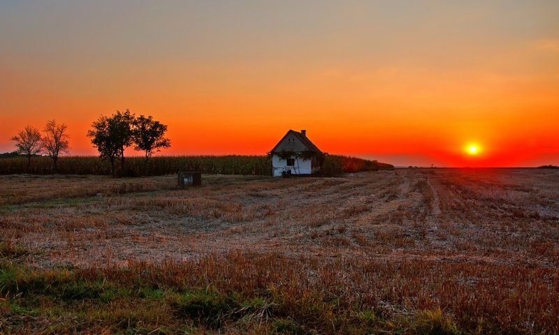 Обои солнце, dusk, fireball, закат, полумрак, countryside, поле, farmland, дом, сумерки, ферма, вс, сельская местность, the sun, sunset, field, house, twilight, farm, sun, the countryside разрешение 1920x1276 Загрузить