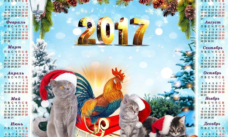 Обои фон, голубой, серые, ели, котята, год, календарь, 2017, год петуха, the year of the rooster, background, blue, grey, ate, kittens, year, calendar разрешение 2560x1600 Загрузить