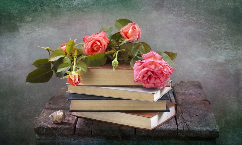 Обои цветы, розы, книги, доски, ракушка, натюрморт, композиция, flowers, roses, books, board, shell, still life, composition разрешение 3008x2000 Загрузить