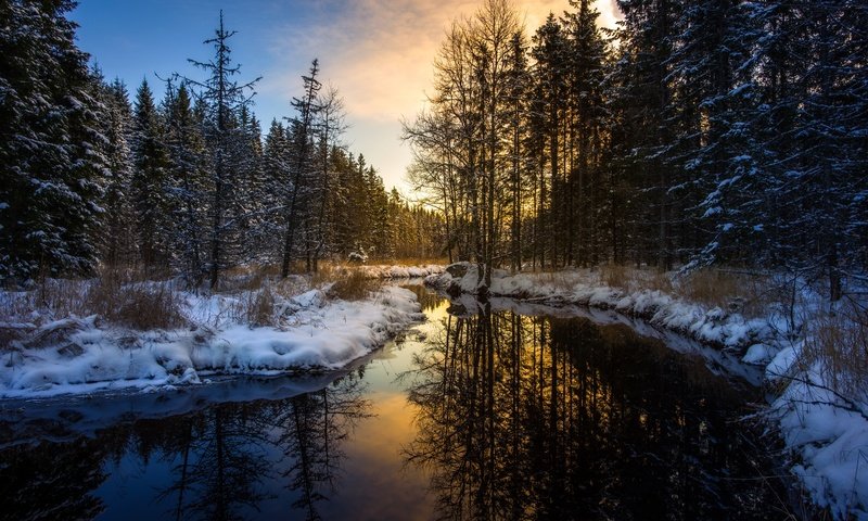 Обои река, лес, зима, утро, river, forest, winter, morning разрешение 5472x3648 Загрузить