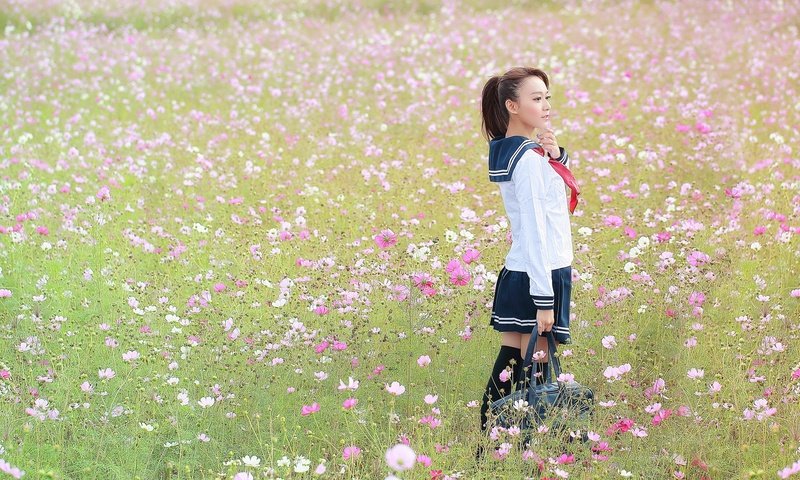 Обои цветы, девушка, поле, форма, flowers, girl, field, form разрешение 2048x1365 Загрузить