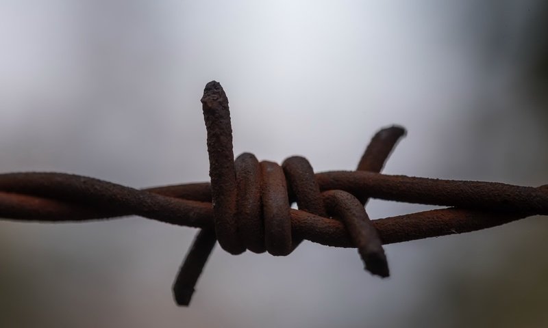 Обои макро, фон, проволока, забор, колючая проволока, macro, background, wire, the fence, barbed wire разрешение 2047x1285 Загрузить