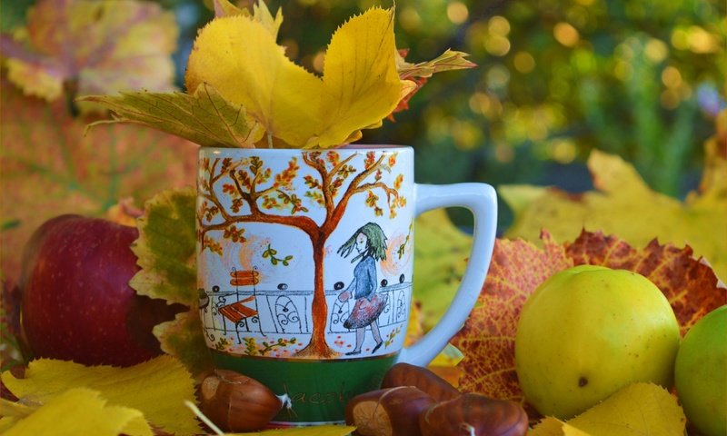 Обои листья, яблоки, осень, чашка, осен, каштаны,  листья, leaves, apples, autumn, cup, chestnuts разрешение 3002x1912 Загрузить