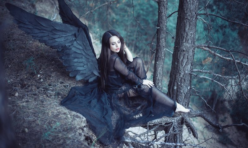 Обои лес, девушка, крылья, ангел, черные крылья, forest, girl, wings, angel, black wings разрешение 5616x3744 Загрузить