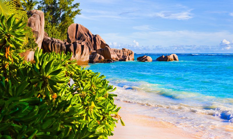 Обои море, песок, пляж, отдых, тропики, сейшелы, sea, sand, beach, stay, tropics, seychelles разрешение 6350x3572 Загрузить
