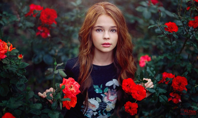 Обои цветы, девушка, настроение, розы, девочка, подросток, flowers, girl, mood, roses, teen разрешение 1920x1200 Загрузить