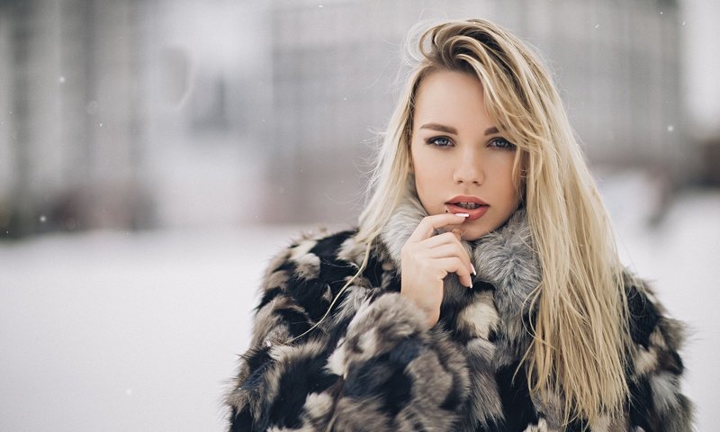 Обои зима, девушка, блондинка, модель, меха, шуба, winter, girl, blonde, model, fur, coat разрешение 2048x1365 Загрузить