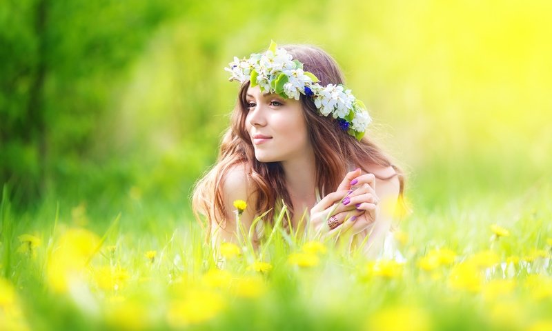 Обои цветы, девушка, улыбка, лето, луг, одуванчики, венок, шатенка, flowers, girl, smile, summer, meadow, dandelions, wreath, brown hair разрешение 7000x4667 Загрузить