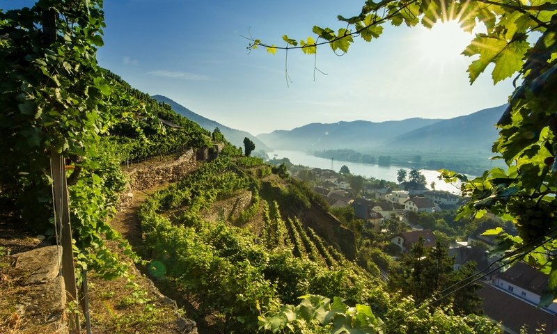 Обои река, австрия, долина, дунай, вахау, river, austria, valley, the danube, wachau разрешение 1920x1210 Загрузить