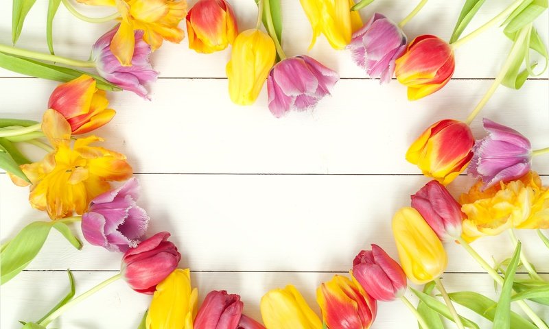 Обои цветы, парное, весна, весенние, красочная, букет, тюльпаны, дерева, красива, тульпаны,  цветы, яркая, flowers, fresh, spring, colorful, bouquet, tulips, wood, beautiful, bright разрешение 4288x2848 Загрузить