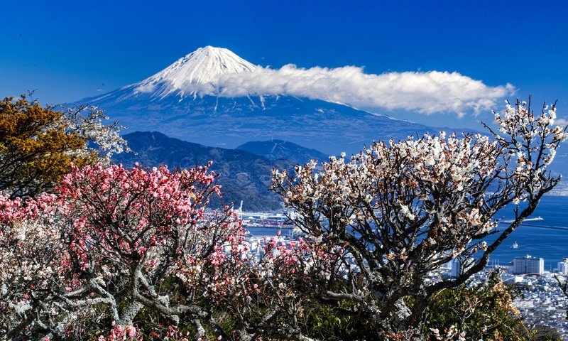 Обои деревья, горы, пейзаж, город, весна, trees, mountains, landscape, the city, spring разрешение 2048x1365 Загрузить