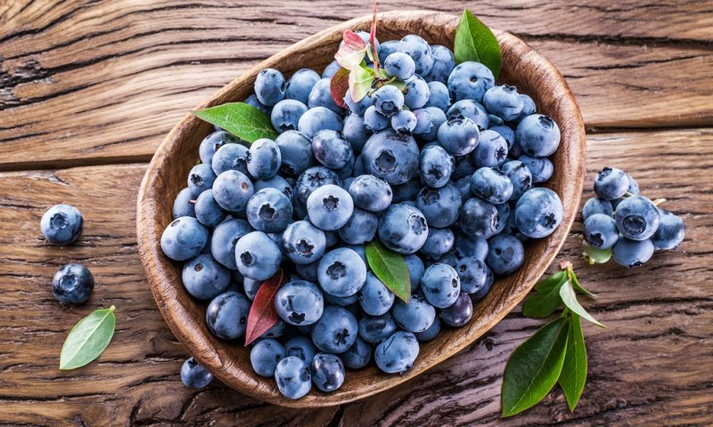 Обои ягоды, лесные ягоды, черника, корзинка, голубика, парное, черничный, berries, blueberries, basket, fresh, blueberry разрешение 7777x5833 Загрузить