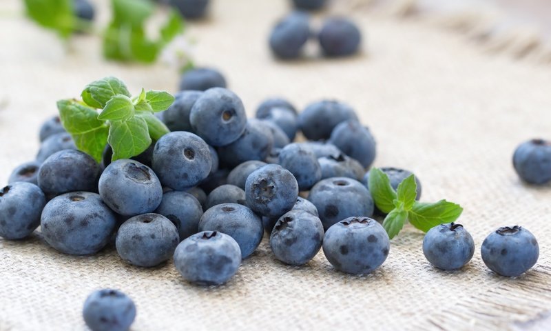 Обои ягоды, лесные ягоды, черника, голубика, парное, черничный, berries, blueberries, fresh, blueberry разрешение 5184x3456 Загрузить