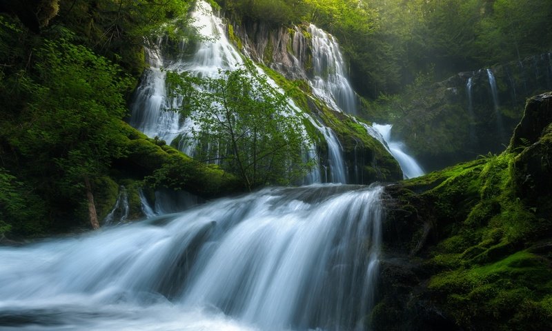 Обои река, panther creek falls, природа, зелень, лес, лето, водопад, сша, весна, river, nature, greens, forest, summer, waterfall, usa, spring разрешение 2500x1731 Загрузить