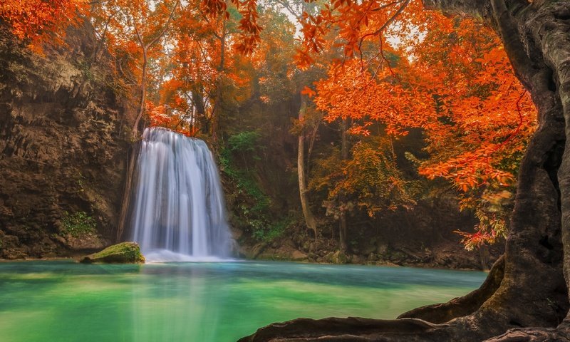 Обои деревья, озеро, лес, водопад, осень, тайланд, тропики, джунгли, trees, lake, forest, waterfall, autumn, thailand, tropics, jungle разрешение 3840x2160 Загрузить