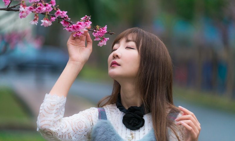 Обои ветка, девушка, волосы, сакура, азиатка, закрытые глаза, branch, girl, hair, sakura, asian, closed eyes разрешение 7952x5304 Загрузить