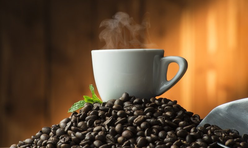 Обои мята, зерна, кофе, чашка, кофейные зерна, mint, grain, coffee, cup, coffee beans разрешение 6672x4912 Загрузить