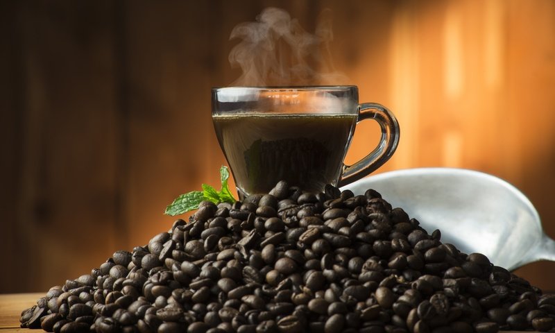 Обои мята, зерна, кофе, чашка, кофейные зерна, mint, grain, coffee, cup, coffee beans разрешение 7360x4912 Загрузить