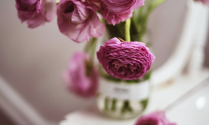 Обои цветы, лепестки, букет, розовые, flowers, petals, bouquet, pink разрешение 2048x1365 Загрузить