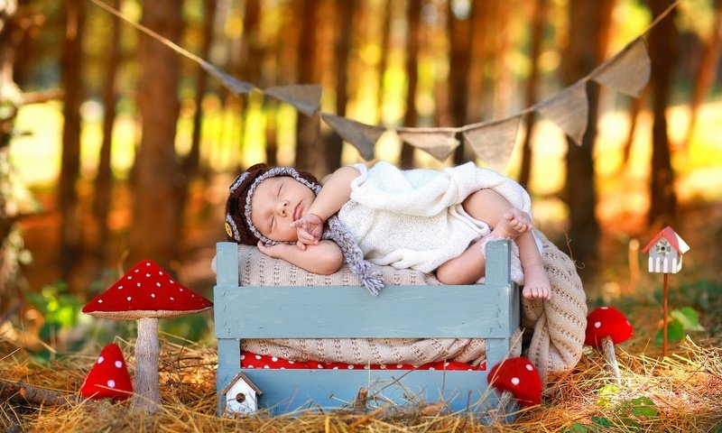 Обои природа, осень, сон, дети, ребенок, младенец, мухомор, ящик, nature, autumn, sleep, children, child, baby, mushroom, box разрешение 1920x1200 Загрузить