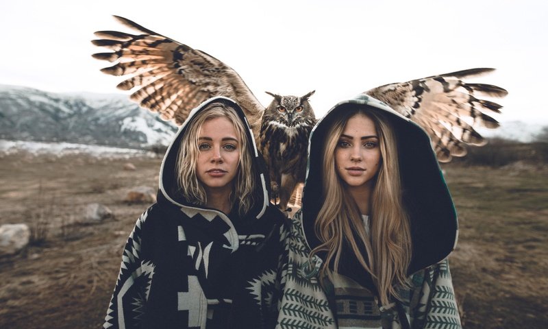 Обои сова, взгляд, девушки, птица, волосы, модели, блондинки, owl, look, girls, bird, hair, model, blonde разрешение 7952x5304 Загрузить
