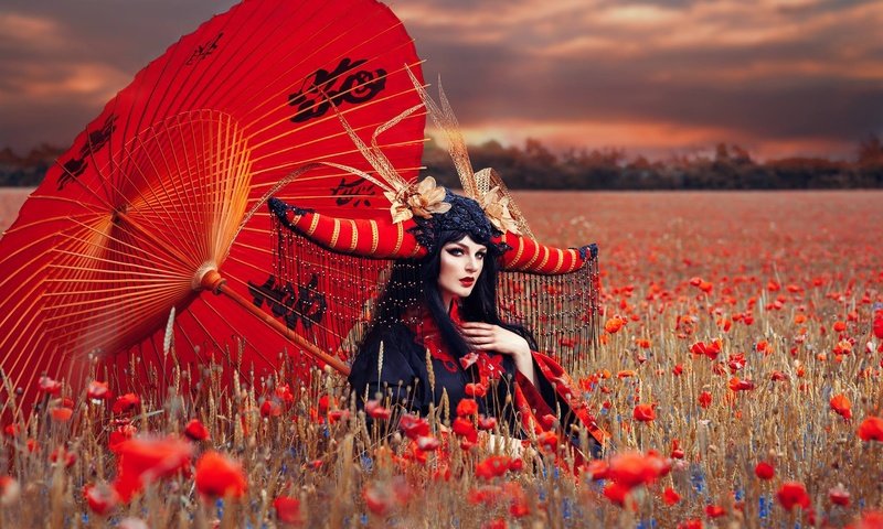 Обои девушка, поле, маки, зонт, наряд, макияж, girl, field, maki, umbrella, outfit, makeup разрешение 2048x1365 Загрузить