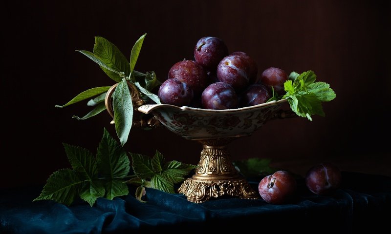 Обои листья, капли, фрукты, плоды, ваза, натюрморт, сливы, leaves, drops, fruit, vase, still life, plum разрешение 2500x1905 Загрузить