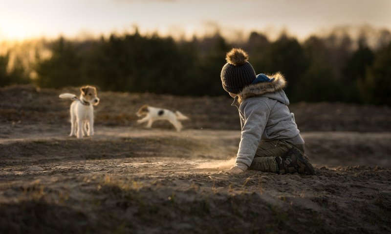 Обои песок, дети, ребенок, мальчик, собаки, джек-рассел-терьер, sand, children, child, boy, dogs, jack russell terrier разрешение 2048x1365 Загрузить