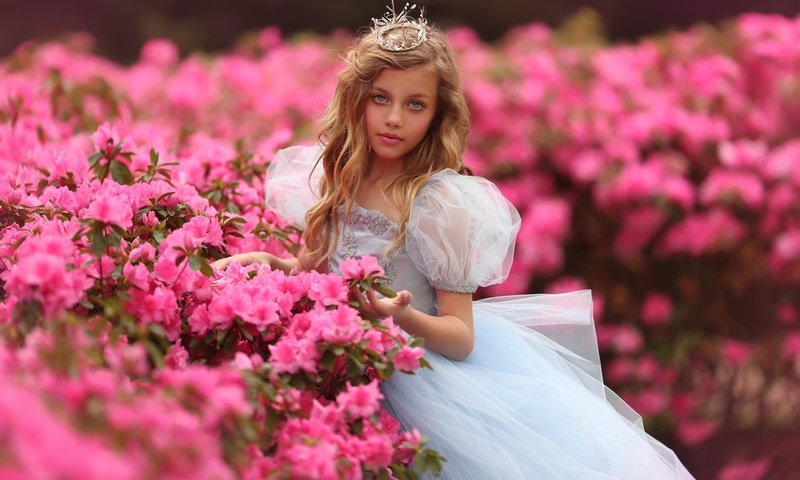 Обои цветы, корона, природа, принцесса, девушка, платье, кусты, взгляд, девочка, волосы, наряд, outfit, flowers, crown, nature, princess, girl, dress, the bushes, look, hair разрешение 2048x1365 Загрузить