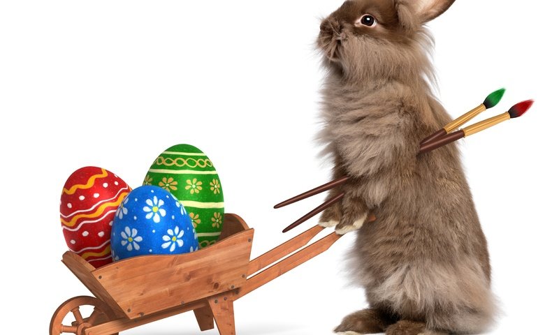 Обои кролик, пасха, яйца, кисти, крашенные яйца, rabbit, easter, eggs, brush, painted eggs разрешение 7677x6177 Загрузить
