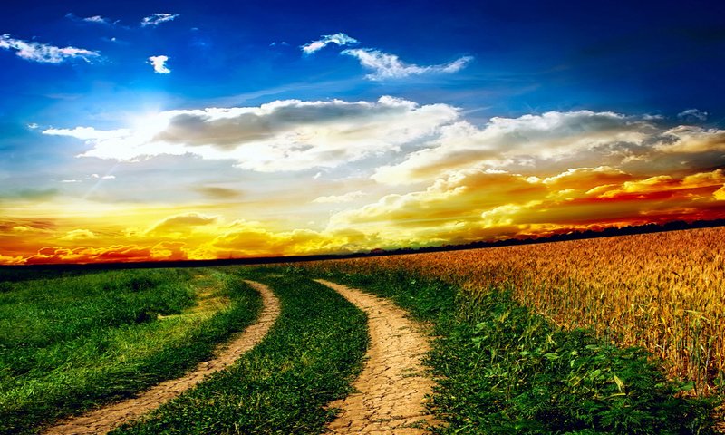 Обои небо, дорога, трава, облака, солнце, природа, поле, the sky, road, grass, clouds, the sun, nature, field разрешение 2560x1600 Загрузить