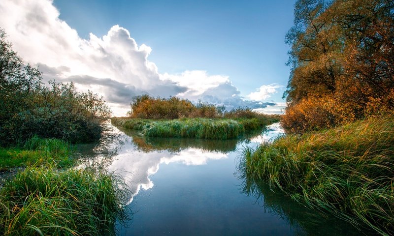 Обои небо, трава, облака, деревья, река, отражение, the sky, grass, clouds, trees, river, reflection разрешение 1920x1280 Загрузить