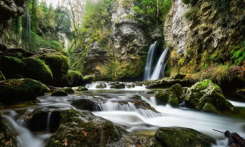 Обои деревья, вода, камни, водопад, мох, потоки, trees, water, stones, waterfall, moss, threads разрешение 2048x1152 Загрузить