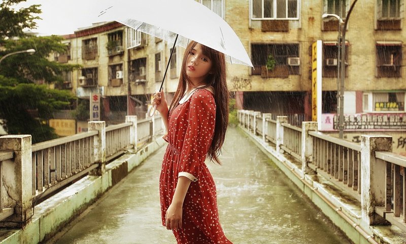 Обои девушка, брюнетка, мост, дождь, зонт, азиатка, girl, brunette, bridge, rain, umbrella, asian разрешение 1920x1200 Загрузить