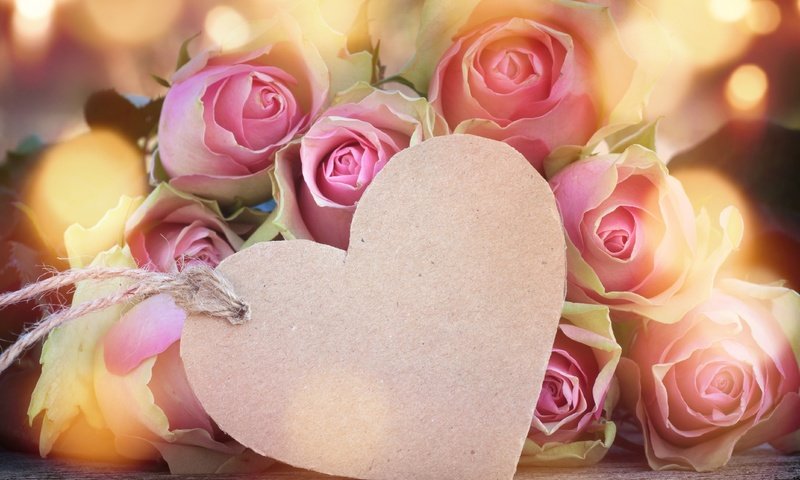 Обои цветы, valentine`s day, бутоны, розы, сердце, любовь, романтика, розовые, день святого валентина, flowers, buds, roses, heart, love, romance, pink, valentine's day разрешение 4272x2848 Загрузить