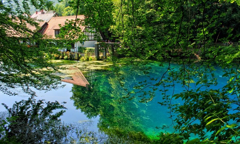 Обои деревья, отражение, ветки, сад, пруд, trees, reflection, branches, garden, pond разрешение 3750x2500 Загрузить