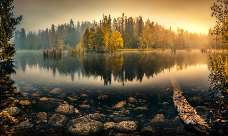 Обои деревья, озеро, лес, отражение, туман, осень, пруд, trees, lake, forest, reflection, fog, autumn, pond разрешение 2048x1083 Загрузить