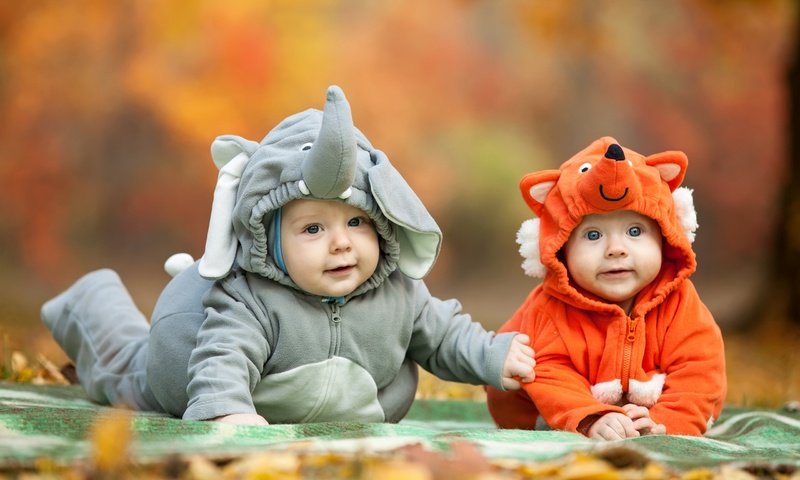 Обои дети, костюмы, слоник, лисичка, позитив, младенцы, children, costumes, elephant, fox, positive, babies разрешение 2560x1600 Загрузить