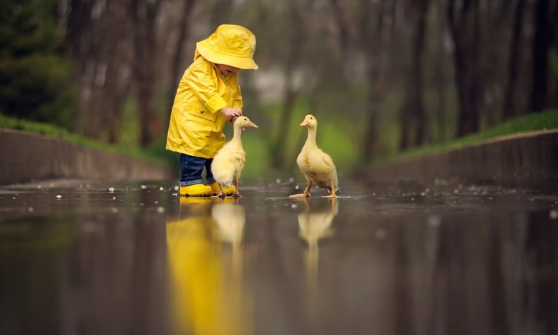 Обои природа, девочка, дождь, ребенок, дружба, маленькая, гуси, nature, girl, rain, child, friendship, little, geese разрешение 1920x1080 Загрузить
