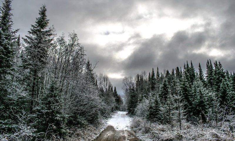 Обои дорога, лес, тучи, зима, ели, road, forest, clouds, winter, ate разрешение 1920x1280 Загрузить