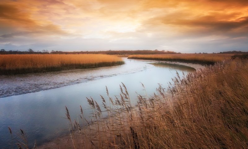 Обои трава, река, берег, осень, камыш, grass, river, shore, autumn, reed разрешение 2047x1180 Загрузить