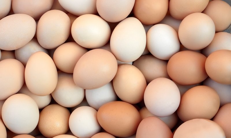 Обои яйца, яйцо, яйцо куриное, eggs, egg, chicken egg разрешение 3897x2598 Загрузить