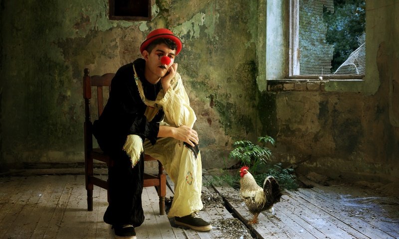 Обои человек, комната, клоун, шляпа, курица, петух, people, room, clown, hat, chicken, cock разрешение 2048x1367 Загрузить