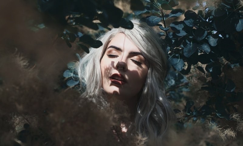 Обои листья, девушка, блондинка, лицо, пирсинг, закрытые глаза, leaves, girl, blonde, face, piercing, closed eyes разрешение 2048x1365 Загрузить