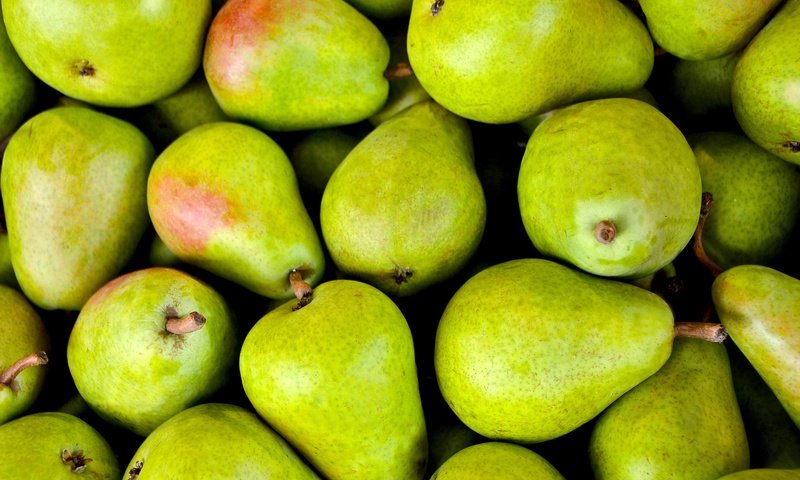 Обои фрукты, зеленые, плоды, груши, fruit, green, pear разрешение 6000x3989 Загрузить