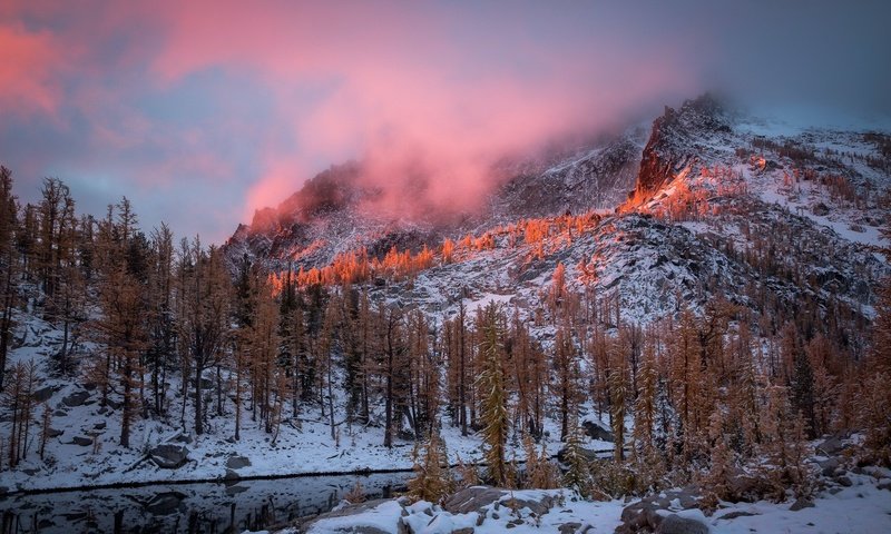 Обои деревья, горы, снег, природа, зима, утро, сша, штат вашингтон, trees, mountains, snow, nature, winter, morning, usa, washington разрешение 2047x1304 Загрузить