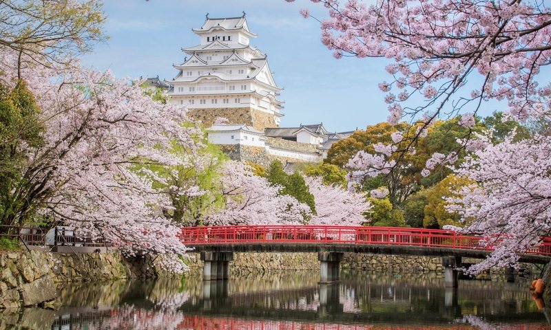 Обои мост, замок, япония, сакура, химэдзи, bridge, castle, japan, sakura, himeji разрешение 2048x1341 Загрузить