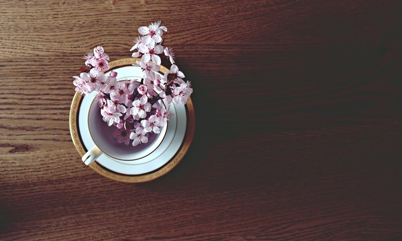 Обои настроение, стол, весна, вишня, чашка, веточки, mood, table, spring, cherry, cup, twigs разрешение 1920x1280 Загрузить