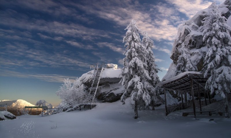 Обои облака, деревья, снег, лестница, зима, холод, clouds, trees, snow, ladder, winter, cold разрешение 1920x1280 Загрузить